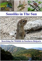 Bulgarian Wildlife DVD filmed in Southern Bulgaria